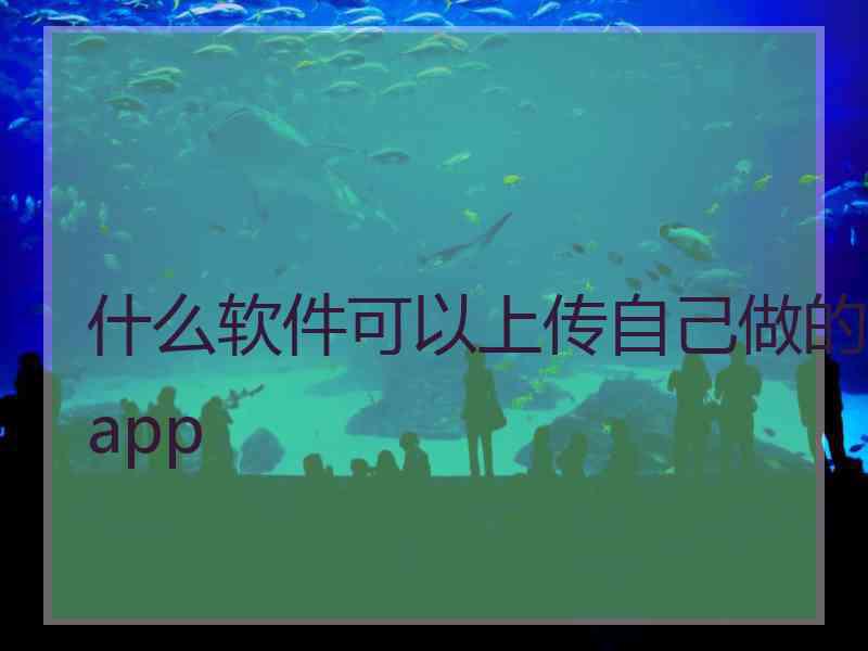 什么软件可以上传自己做的app