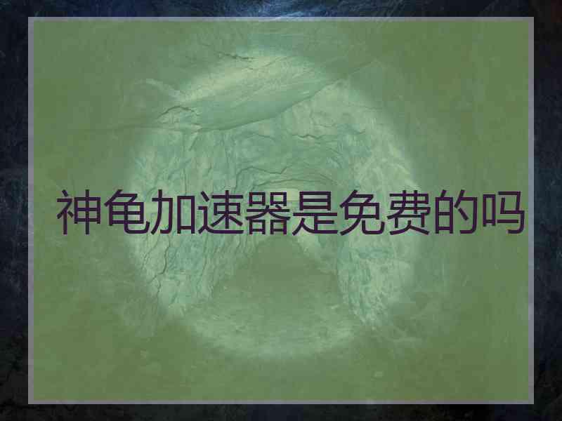 神龟加速器是免费的吗