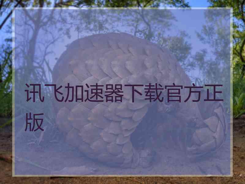 讯飞加速器下载官方正版
