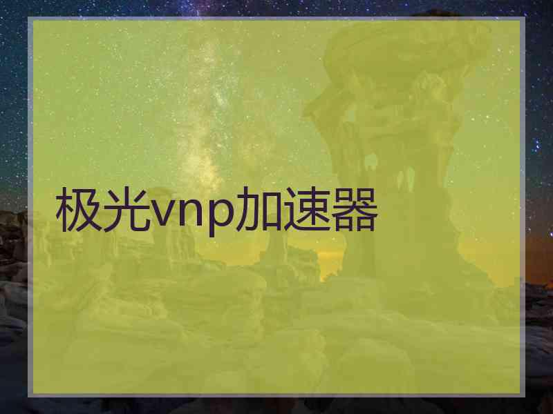 极光vnp加速器