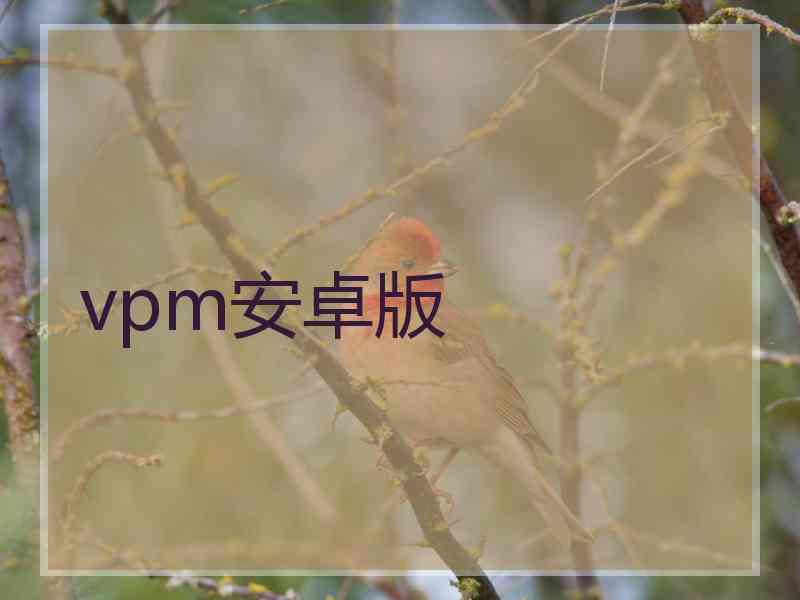 vpm安卓版
