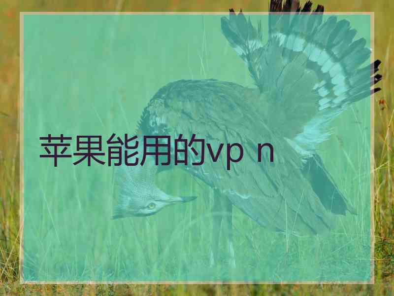苹果能用的vp n