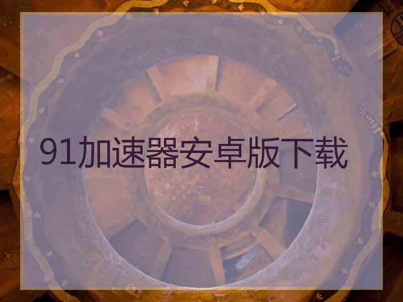 91加速器安卓版下载