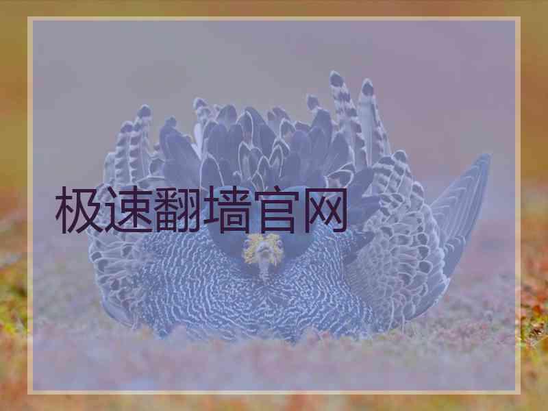 极速翻墙官网