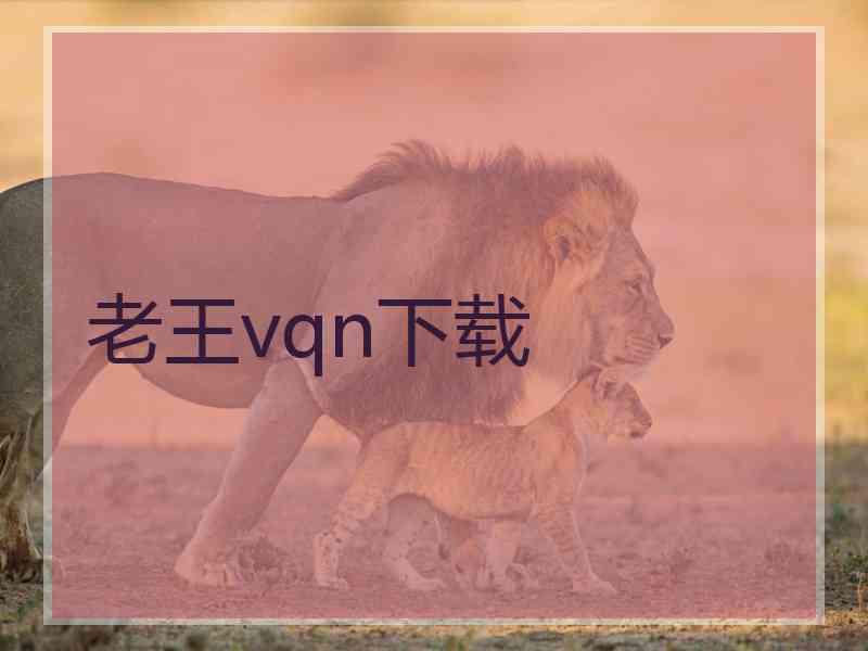 老王vqn下载
