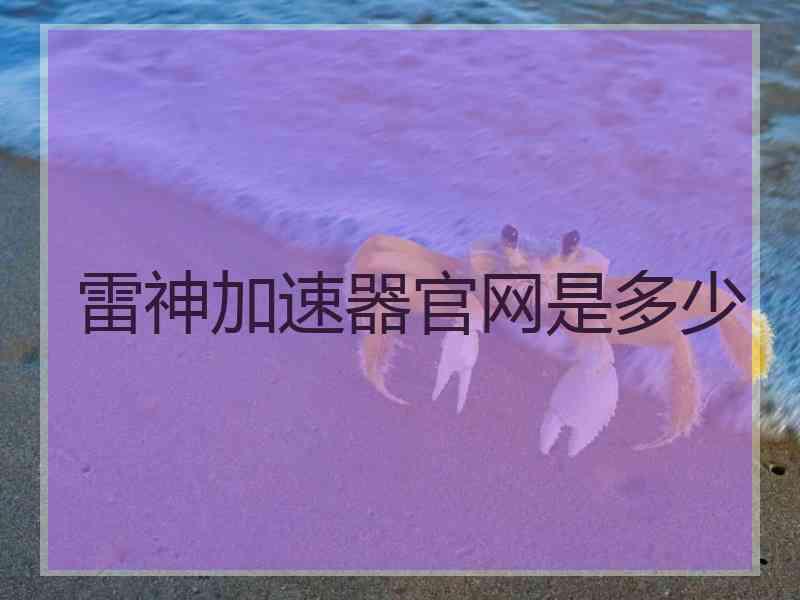 雷神加速器官网是多少