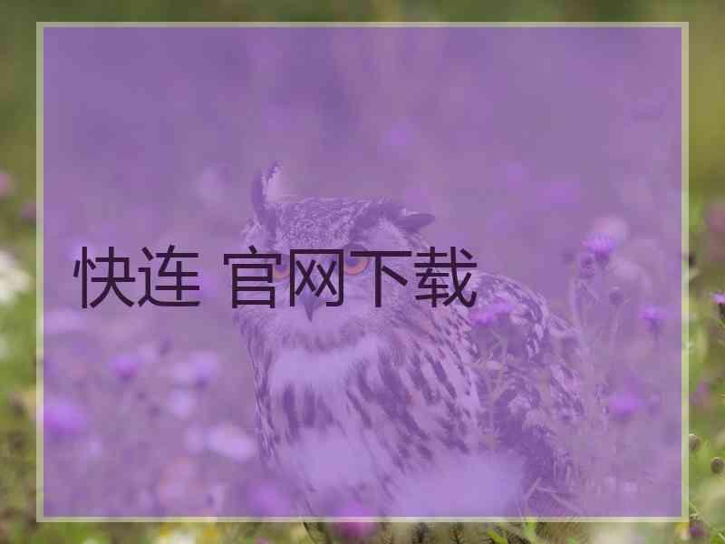 快连 官网下载