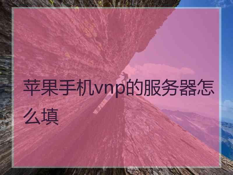 苹果手机vnp的服务器怎么填