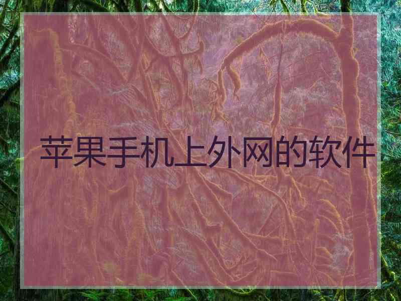 苹果手机上外网的软件