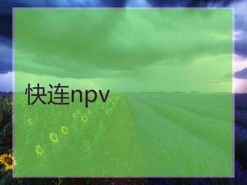快连npv