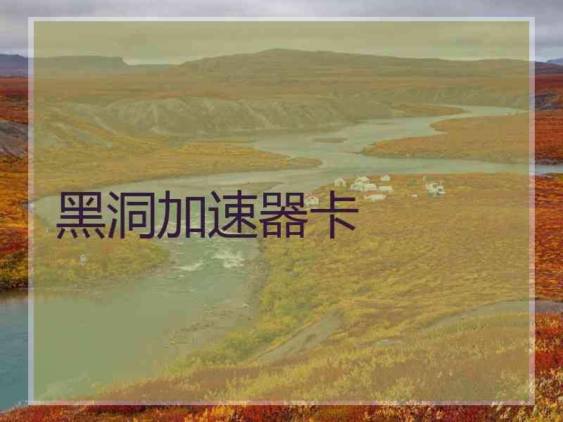 黑洞加速器卡