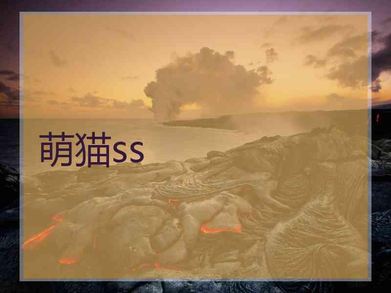 萌猫ss
