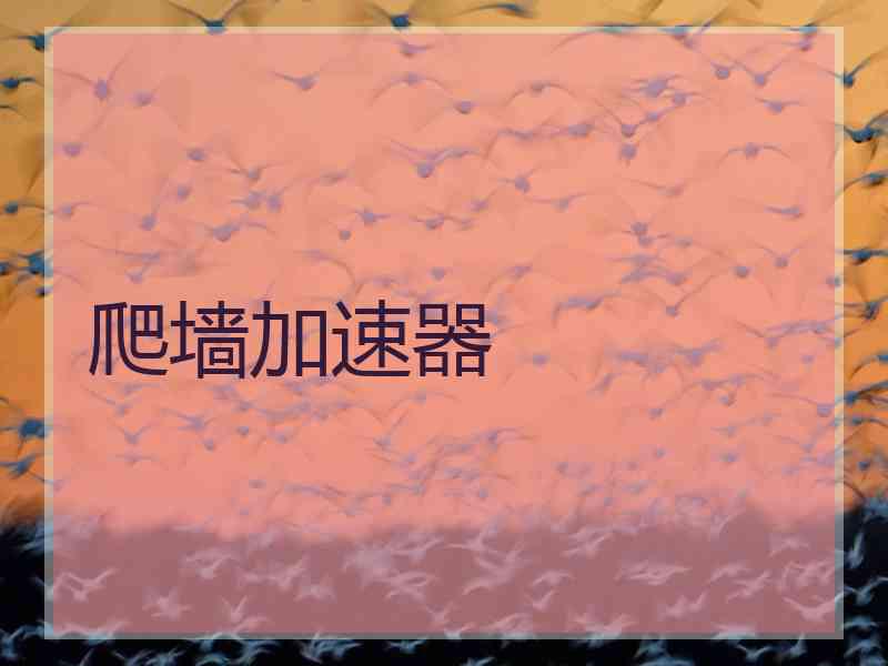 爬墙加速器