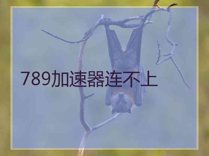 789加速器连不上