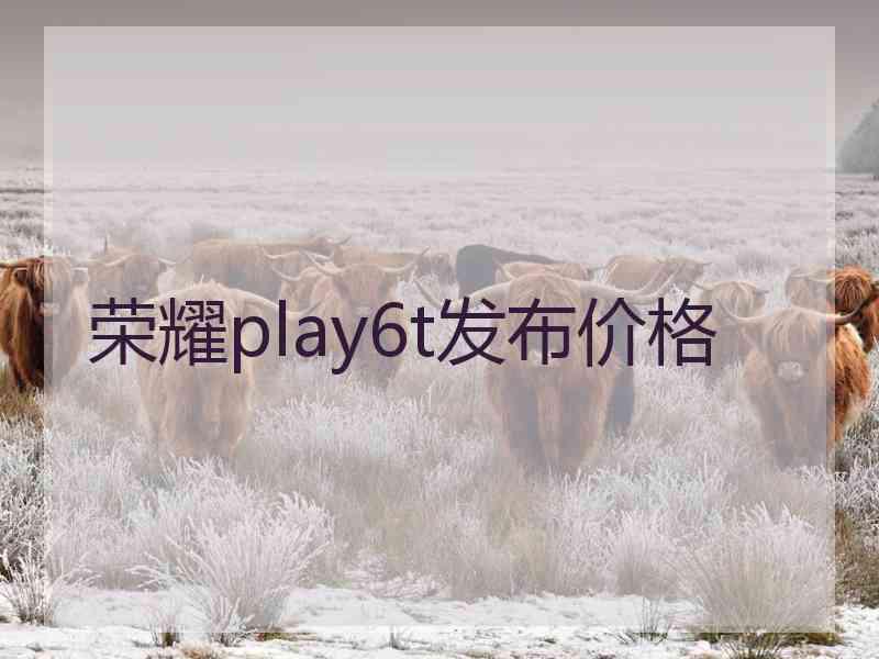 荣耀play6t发布价格