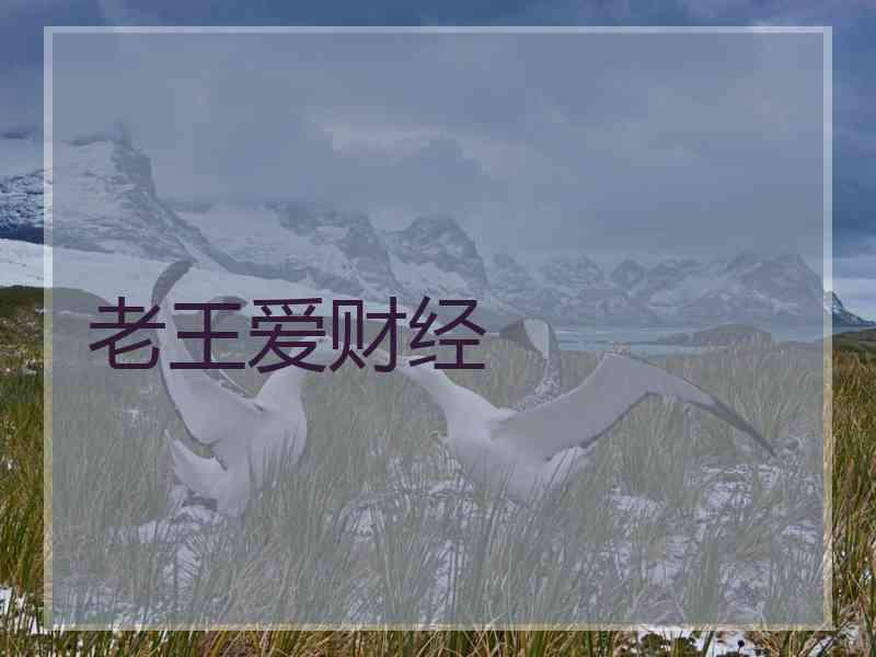 老王爱财经