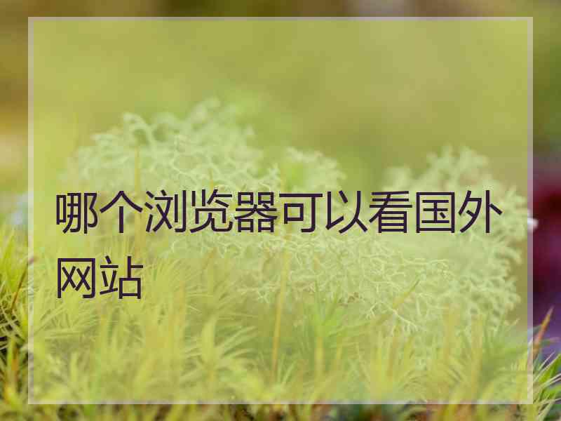 哪个浏览器可以看国外网站