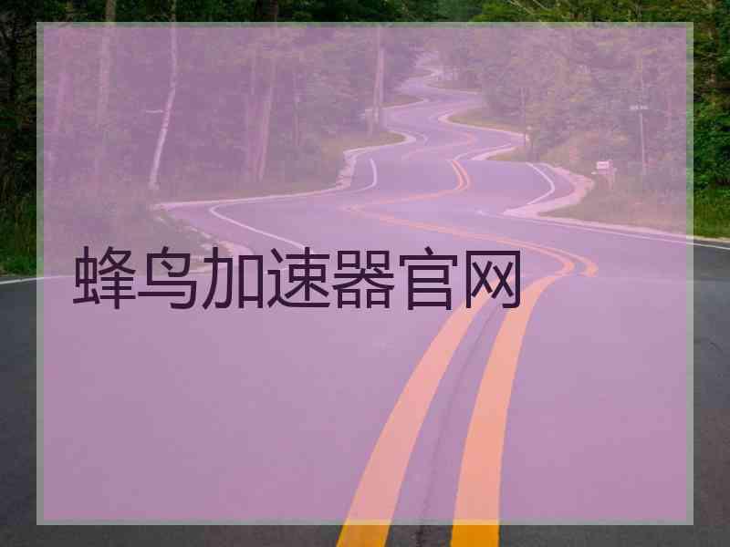蜂鸟加速器官网