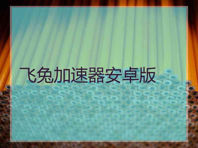飞兔加速器安卓版