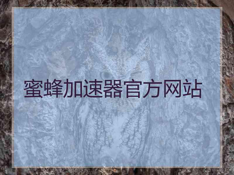蜜蜂加速器官方网站