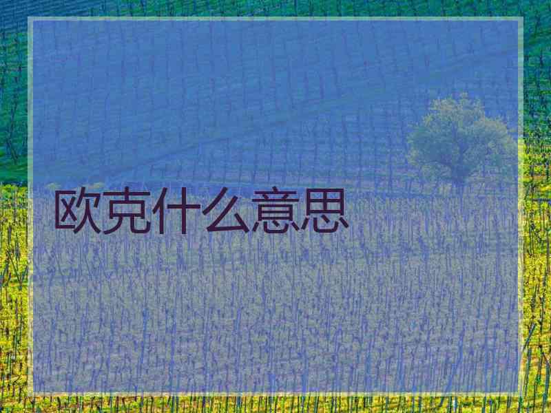 欧克什么意思