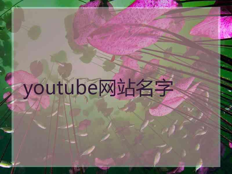 youtube网站名字