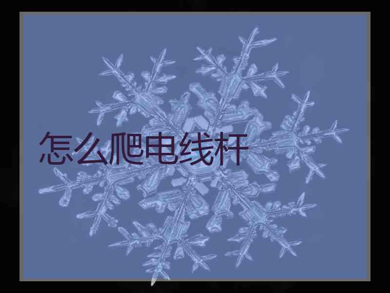 怎么爬电线杆