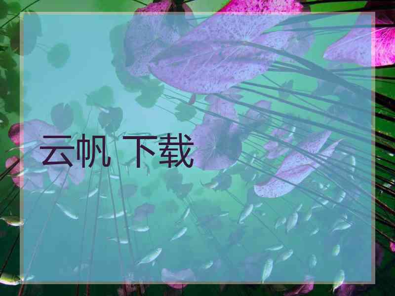 云帆 下载