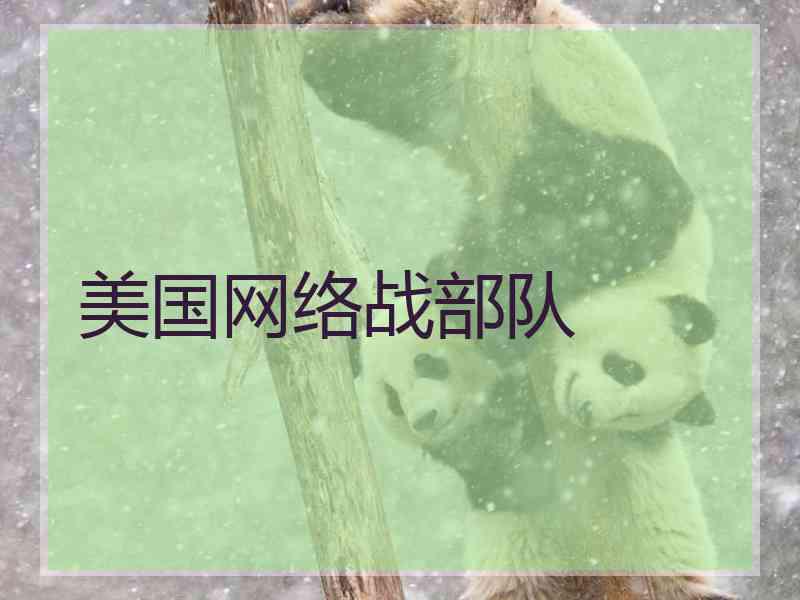 美国网络战部队