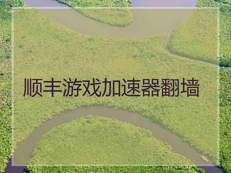 顺丰游戏加速器翻墙