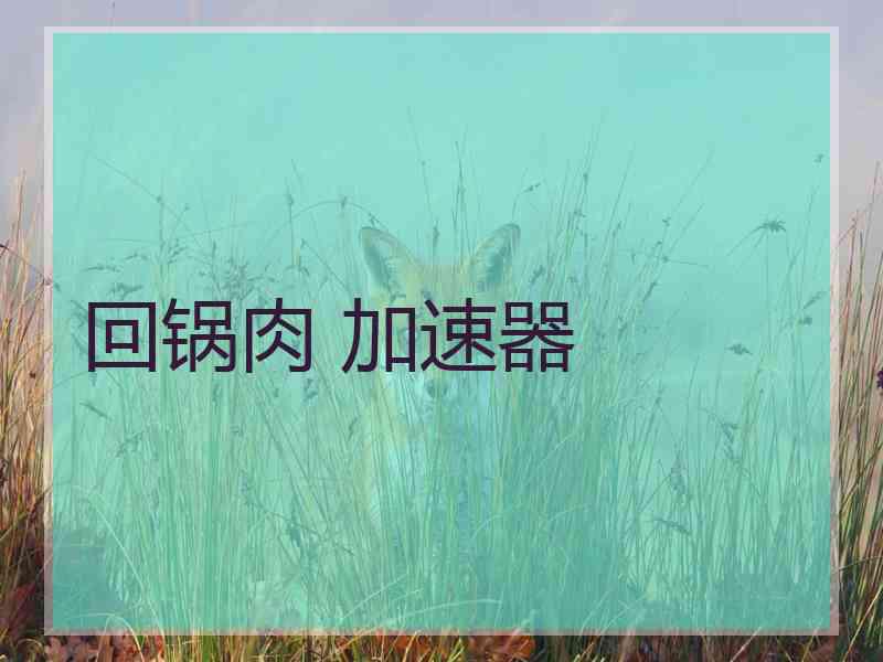 回锅肉 加速器
