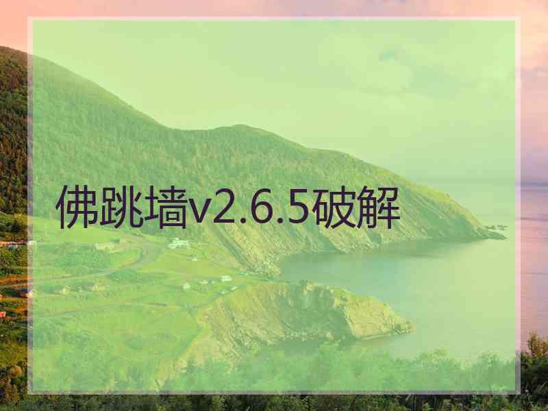 佛跳墙v2.6.5破解