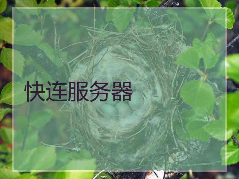 快连服务器