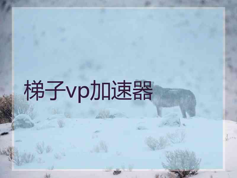 梯子vp加速器
