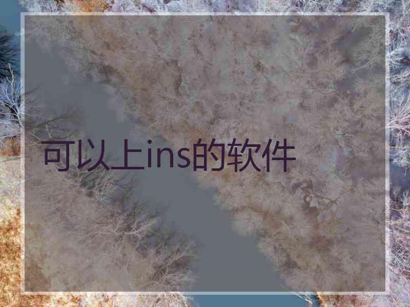 可以上ins的软件