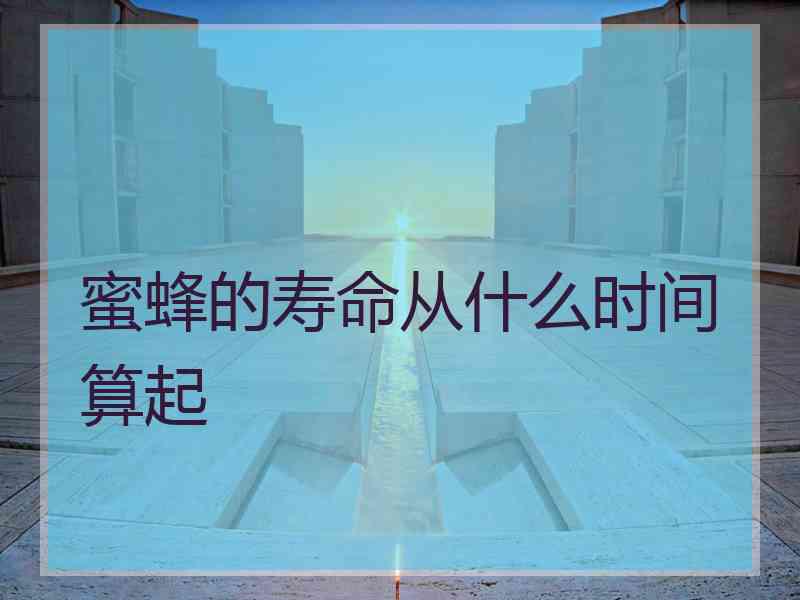 蜜蜂的寿命从什么时间算起