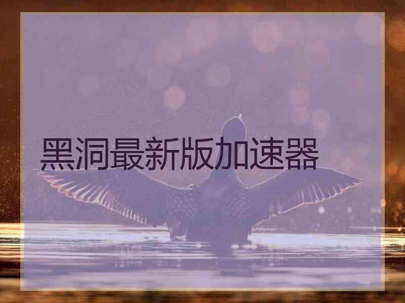 黑洞最新版加速器