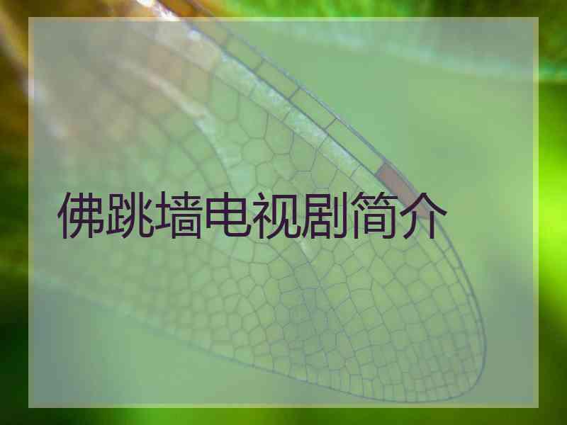 佛跳墙电视剧简介