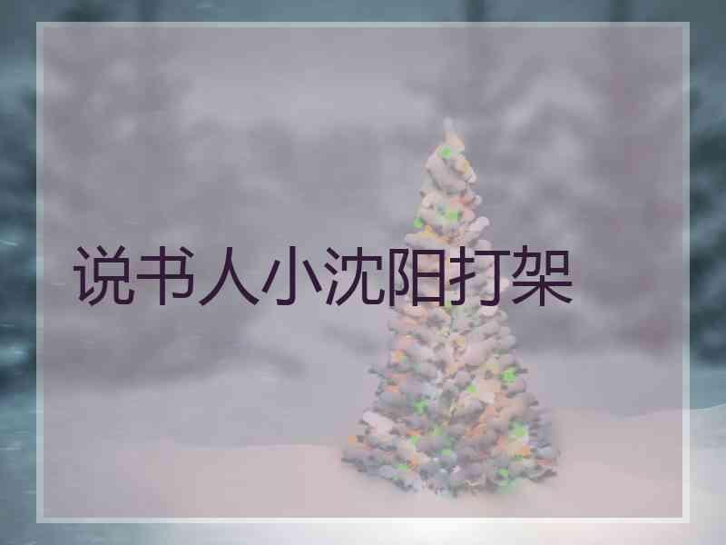 说书人小沈阳打架