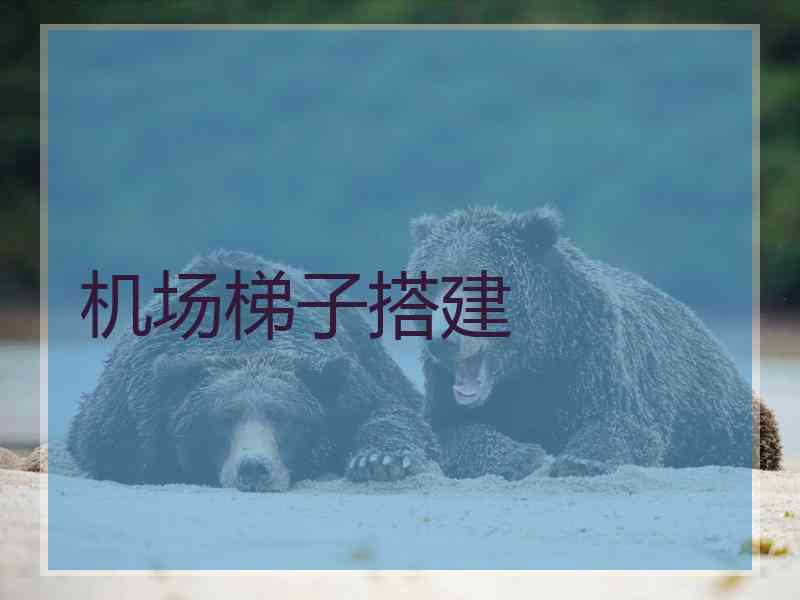 机场梯子搭建