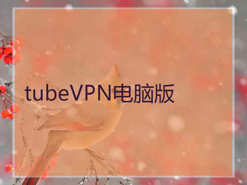 tubeVPN电脑版