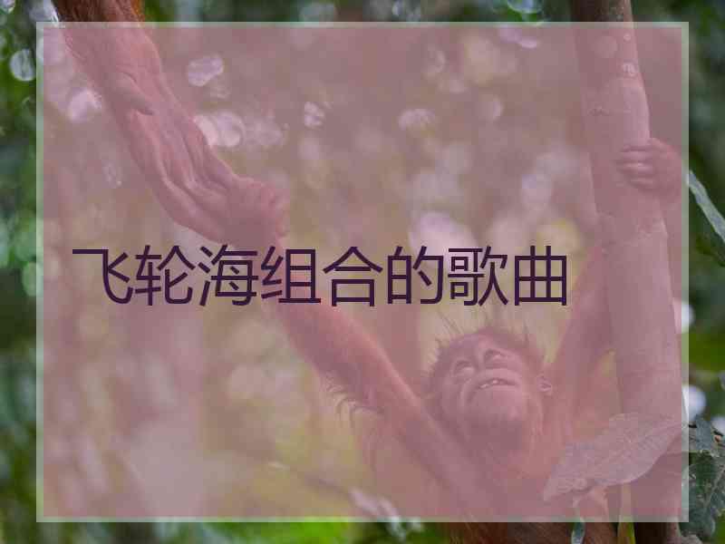 飞轮海组合的歌曲