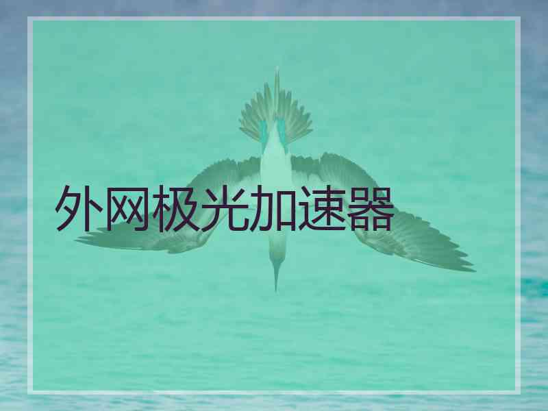 外网极光加速器