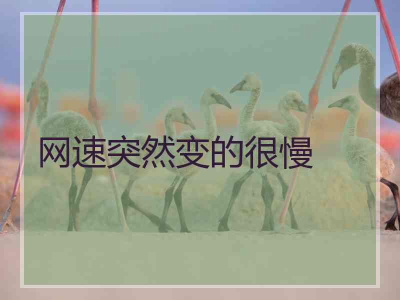 网速突然变的很慢