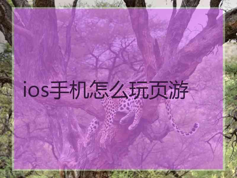 ios手机怎么玩页游