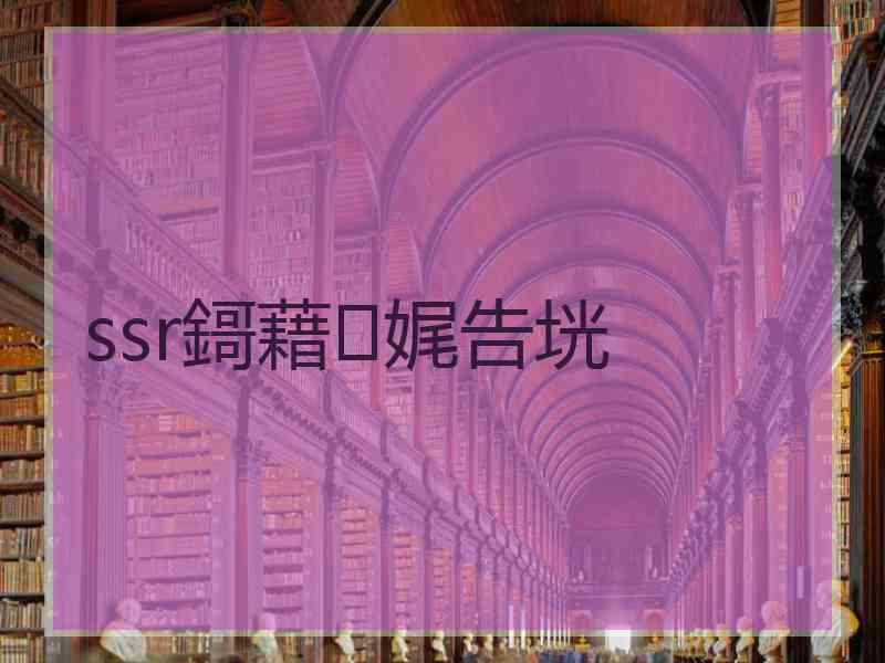 ssr鎶藉娓告垙