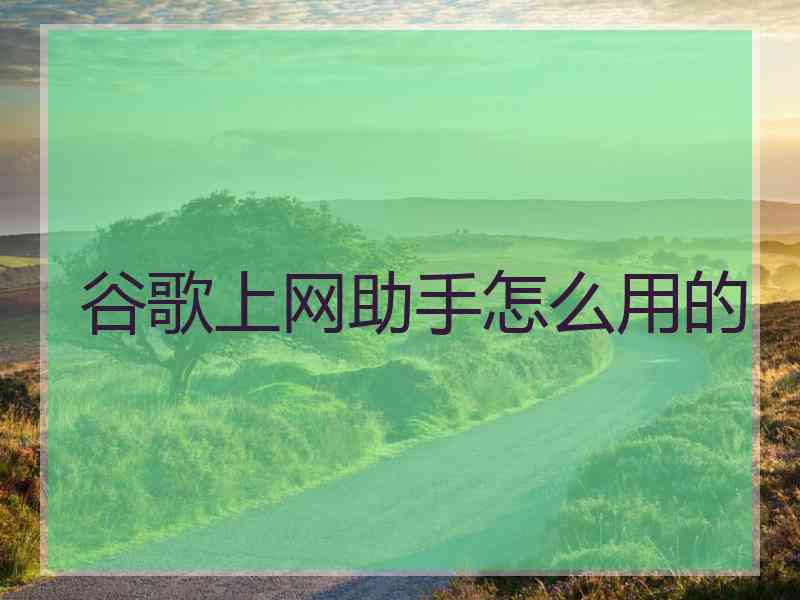 谷歌上网助手怎么用的