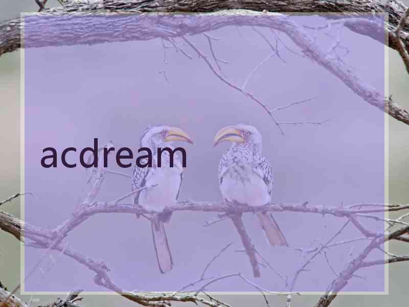 acdream