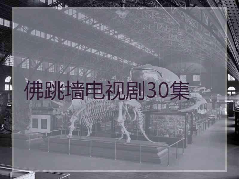 佛跳墙电视剧30集