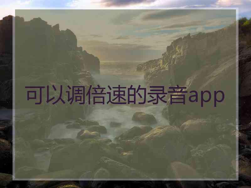 可以调倍速的录音app